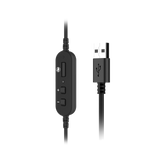 V7 ESSENTIALS HU311-2NP USB Stereo Headset for Education